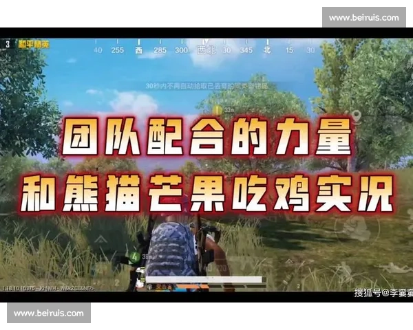 兄弟同心,其利断金!和平精英总决赛现场,团队的力量!